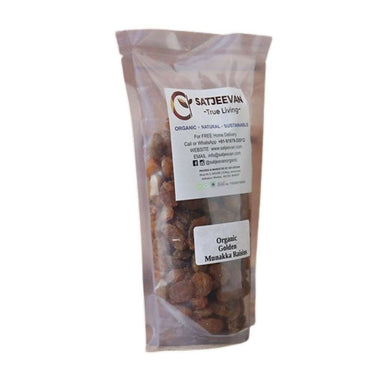 https://cdn.shopify.com/s/files/1/1857/6931/products/MwN3QojJnp.jpg?v=1709185254